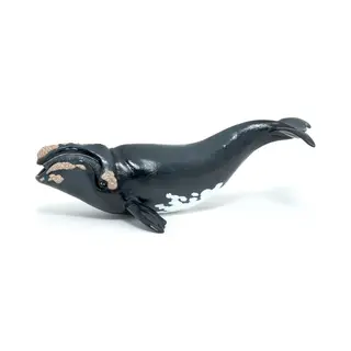Papo Right whale