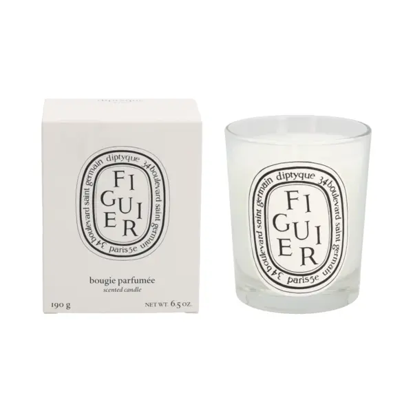 Figuier (Fig Tree) - Classic Candle - Diptyque thumbnail