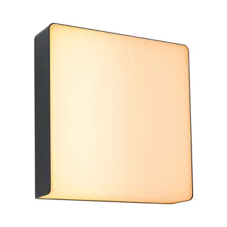 Paulmann Azalena Buitengebruik muurverlichting Led 10 W F