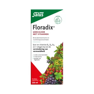 Floradix Vloeibaar Ijzer-Elixer Met Vitamines 250 Ml