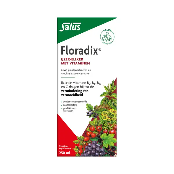 Floradix Vloeibaar Ijzer-Elixer Met Vitamines 250 Ml thumbnail