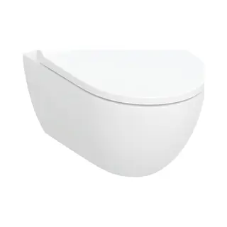 Geberit Acanto Randloos Hangtoilet Met Toiletbril Wit