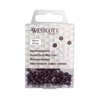 Westcott E-10502 00 Set Van 100 Naalden Met Ronde Kop Zwart Diameter 5 Mm Lengte 16 Mm