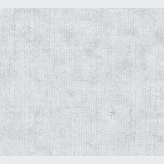 Grafisch Behang | Ruitjes - Zilver Lichtgrijs - A.S. Création The Bos