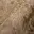 bruin beige geel goud