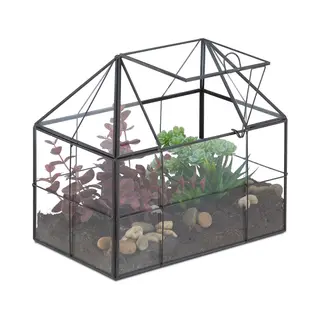 Planten Terrarium - 21x23x14 Cm - Glas - Vensterbank