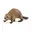 Bever, Bruin