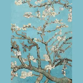Wizard+Genius Fotobehang - Van Gogh Almond Blossom 192x260cm - Vliesbehang