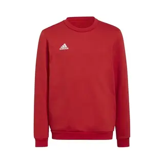 Adidas Performance Entrada 22 Sweatshirt - Kinderen - Rood - 164