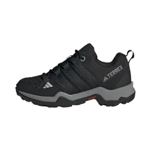 Lage Sneakers Adidas Terrex Ax2r thumbnail