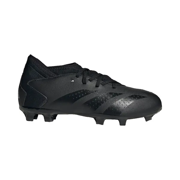 Voetbalschoenen Adidas Predator Accuracy.3 Terrain Souple thumbnail