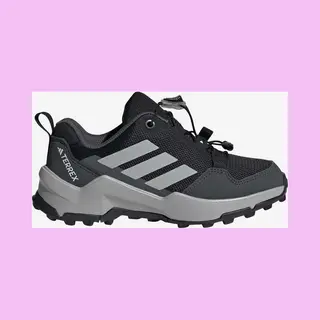 Adidas Terrex Lage Schoen 'Ax4s' Basaltgrijs / Zwart / Wit