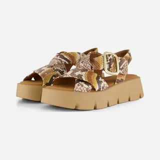 Gabor Damen Plateausandalen, Frauen Sandalen, Trend-bewusst, praktisch, Schmerz-lindernd, Schmerz-mindernd, Arbeit, Sun Combi(So.sabbi, 39 Eu / 6 Uk