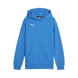 Puma Boys Teamgoal Casuals Hoody Jr Pullover, Ignite Blue-puma White, 152 Eu