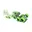 groen, zwart