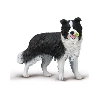 Collecta Border Collie - Speelgoed Hond Dierenfiguur Realistisch.