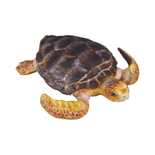 Collecta – 3388094 – Figur – Meerestiere – Schildkröte thumbnail