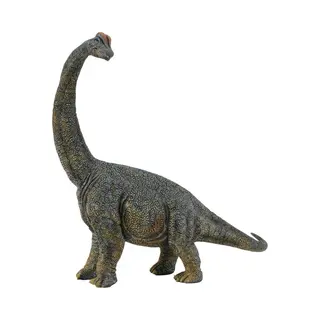 CollectA Brachiosaurus -Deluxe 1, 40 Scale