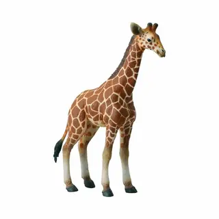 Collecta Giraffe Kalf Speelgoedfiguur - Handbeschilderd En Gedetailleerd