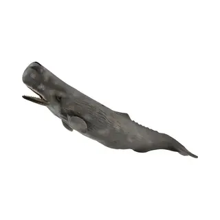 CollectA Sperm Walvis