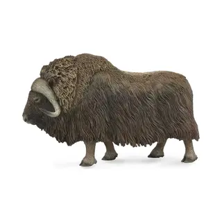 Collecta Wilde Dieren Muskusos - Kunststof Figuur Voor Kinderen - 3+ Jaar