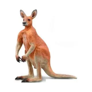 CollectA Kangoeroerood - Mannelijk