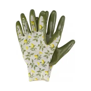 Smart Garden Seed & Weed - Sicilian Lemon Med / Size 8