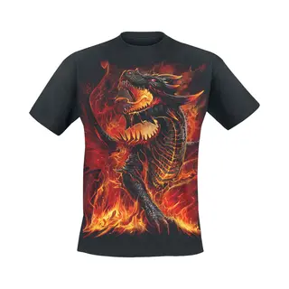 Spiral - Gothic T-shirt - Draconis - S Tot 4XL - Voor Mannen - Zwart