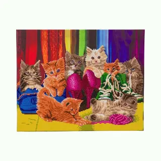 Diamond Painting 40 X 50 Cm Crystal Art Partial Ronde Steentjes - Kitten Footware
