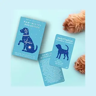 Gift Republic Paw-mistry Kaarten - Hond