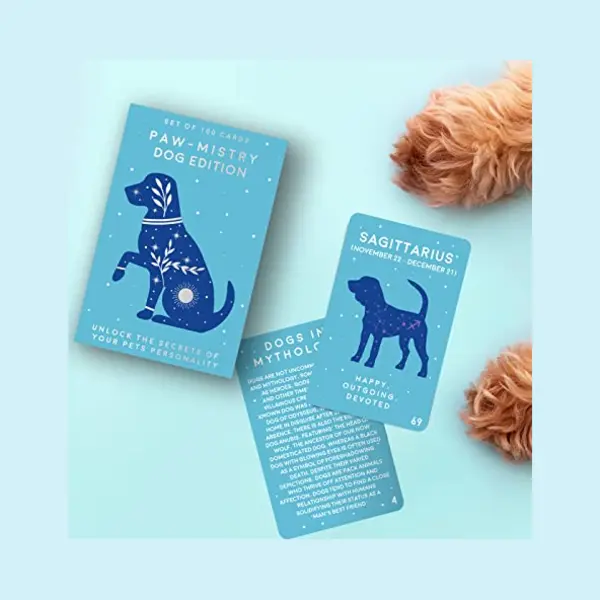Gift Republic Paw-mistry Kaarten - Hond thumbnail