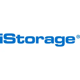 iStorage Is-Fl-Dsd-256-Sp Usb flash drive Usb Type-C 3.2 Gen 1 (3.1 Gen 1)