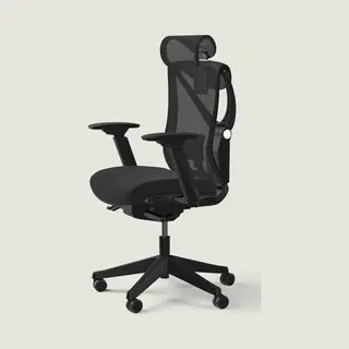 Desktronic SitPro Ergonomische Bureaustoel - Bureaustoelen Voor Volwassenen - Bureau Stoel Voor Kantoor, Gaming - 5D Lendensteunsysteem - Armleuningen