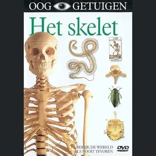 Coast To Coast Music Group B.V. Skelet, Het