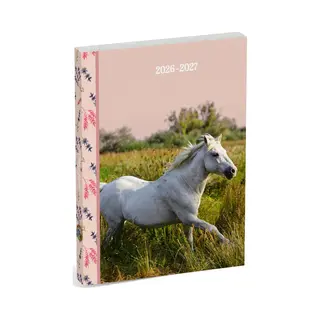 Amazone Schoolagenda Internationaal - Wit Paard