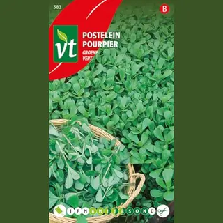 Vt Postelein Groene Zaden - Malse En Vlezige Bladgroente Voor Salades