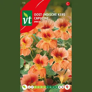 Vt Oost-Indische Kers 'Apricot' Zaden - Apricotkleurige Bloemen Voor Tuinen En Bloembedden