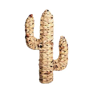 Urban Living "Natural Living" Cactus In Waterjerrycan, 45 X 25 X D9 Cm, Beige