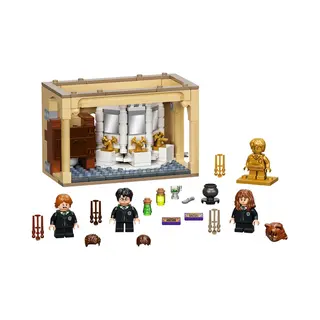Lego 76386 Harry Potter Hogwarts™: Polyjuice Potion Mistake