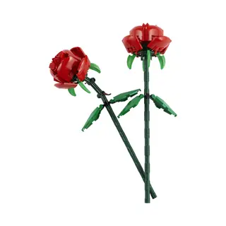 Lego 40460 Botanicals Rozen