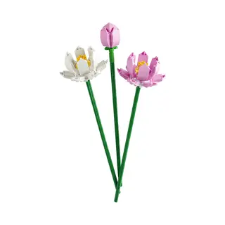 Lego 40647 Creator Lotusbloemen Bloemen Bouw en Decoratie Set