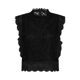 Only Onlkaro S/L Lace Top Wvn T-shirts En Tops Voor Dames