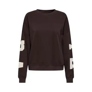 Only Onlsweat L/S Back/Sleeve Print Swt Noos
