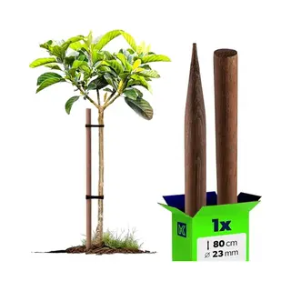 Kadax Geïmpregneerde Paal 23x80 BIM80 K16272