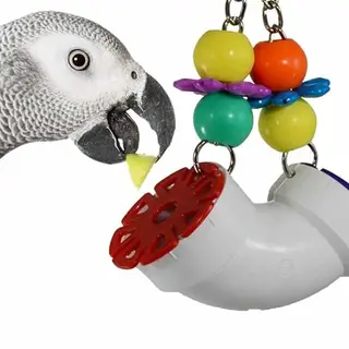 Super Bird Creations SB751 Foraging Puzzle Toy For Parrots, Conures, African Greys - Bird Feeder, Enrichment Activity, Versatile Forager For Mental