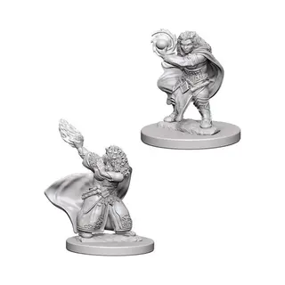 Dungeons & Dragons Nolzur's Prachtige Ongeverfde Figuren Dwergtovenaar