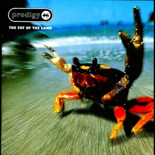 Xl Recordings The Fat Of The Land