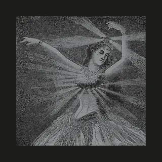 Konkurrent Neutral Milk Hotel - Nmh Vinyl Box Set (9 Lp) (Coloured Vinyl)