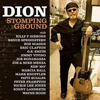 Universal Music Group Stomping Ground [Vinyl Lp]