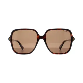 Polaroid Square Havana Bronze Polarized Pld 6219/s In Brown